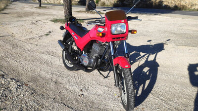 IMG_20201129_105531.jpg (716.2 Kio) Vu 9238 fois Sur la route de Cassis (La gineste)