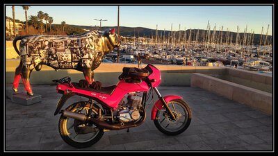 IMG_20201226_082846_DxO.jpg (779.5 Kio) Vu 9157 fois La belle et la bête