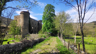 IMG_20210508_161943_1.jpg (1.1 Mio) Vu 2894 fois Château Latour
