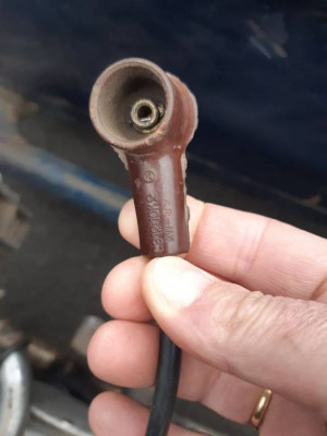 antiparasite russe.jpg