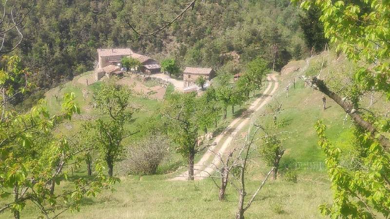 Les ruines du château