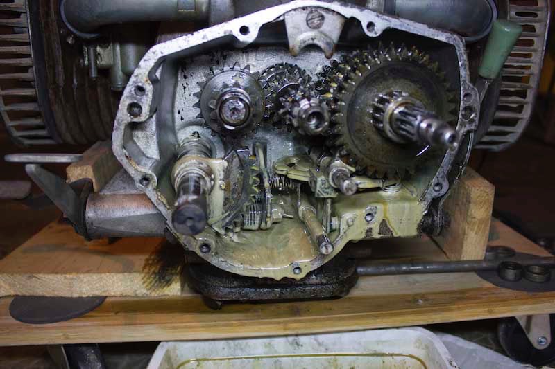 BV 03.jpg