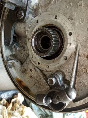 pont redimmensionné.jpg