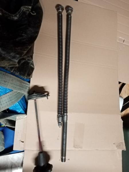 IMG_20231113_183655 redim.jpg