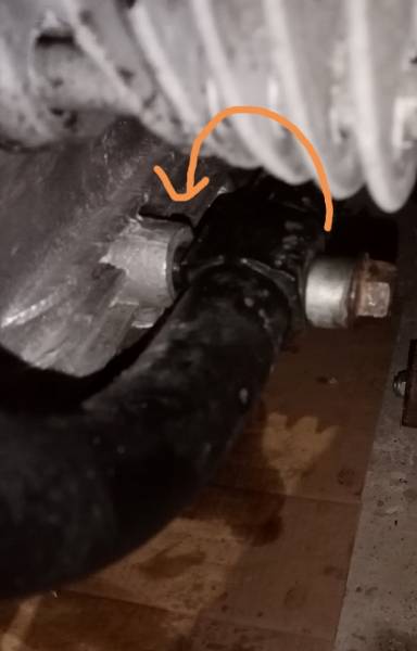 IMG_20240118_085039 redim.jpg