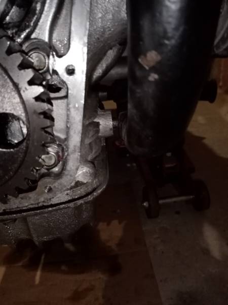 IMG_20240118_084848 redim.jpg