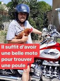 moto poule.jpg