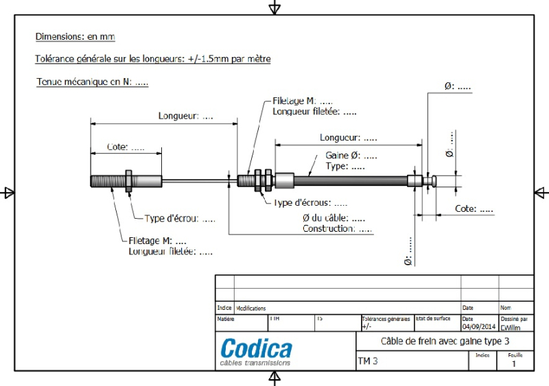 Plan Codica.jpg