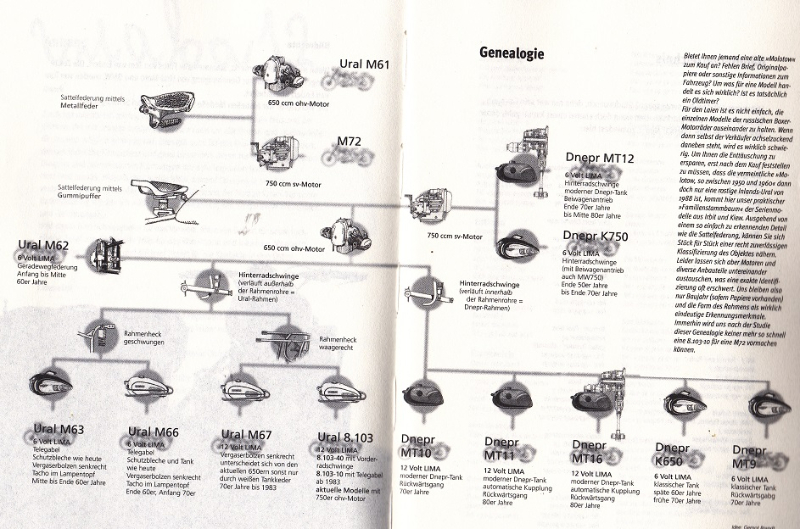 Arborescence Ural Dnepr.jpg