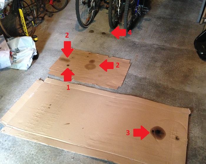 Fuites de Berezina.jpg