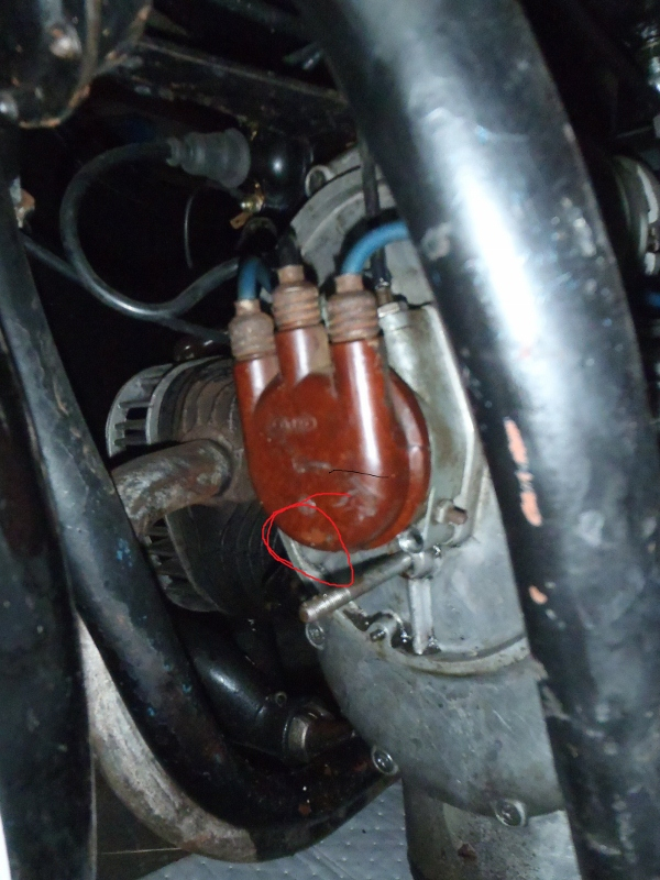 PA250511 (600x800) (2).jpg