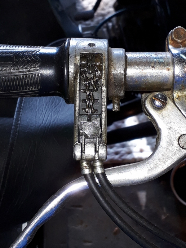 20171103_113013 (600x800).jpg