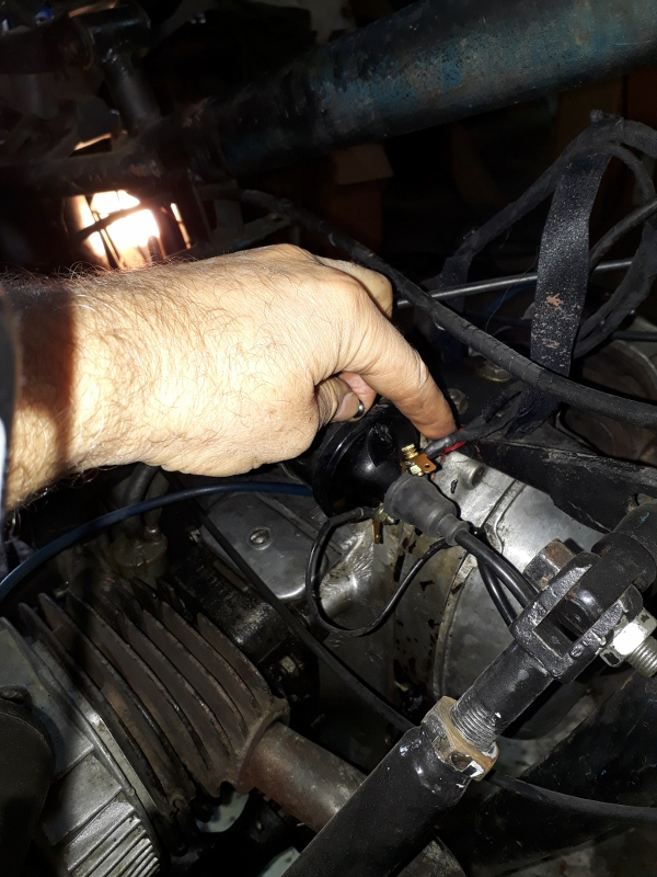 20171104_151334 (600x800).jpg