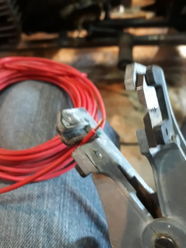 20171116_110324 (600x800).jpg