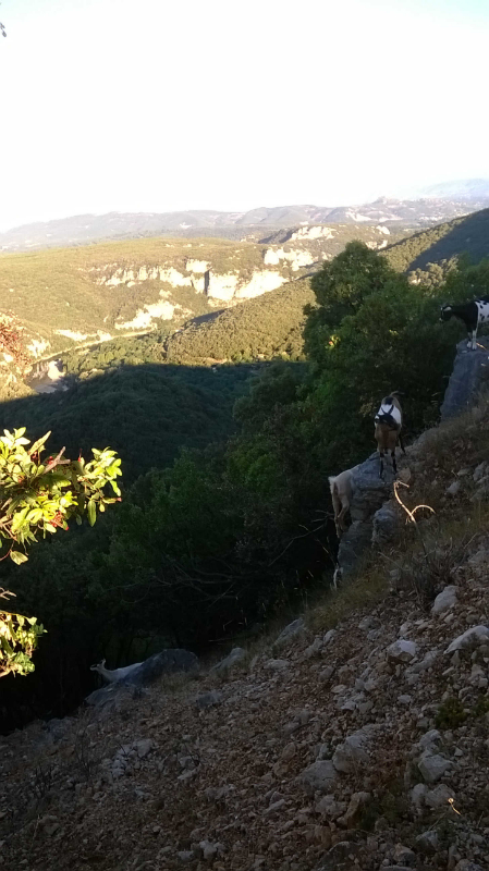 WP_20180812_031.jpg