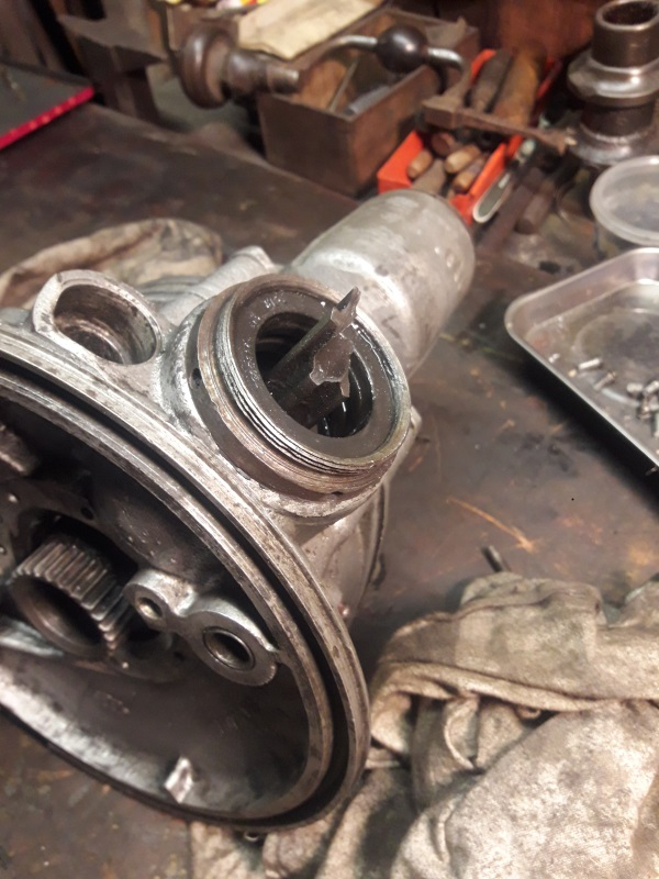 arbre trans pété.jpg