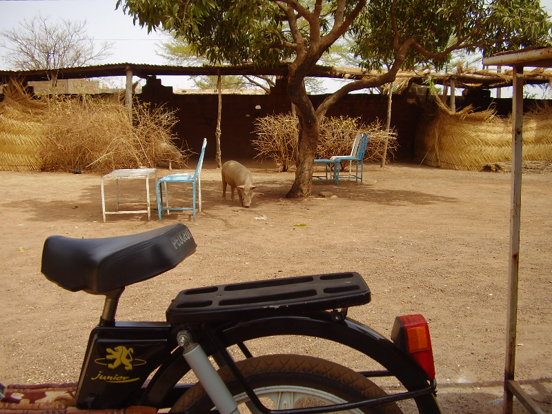un verre avec une cochonne...